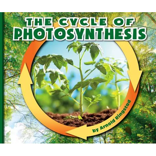The Cycle of Photosynthesis
