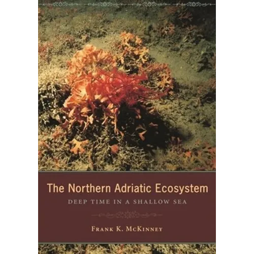 The Northern Adriatic Ecosystem: Deep Time in a Shallow Sea