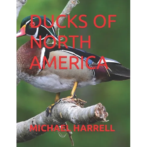 Ducks of North America
