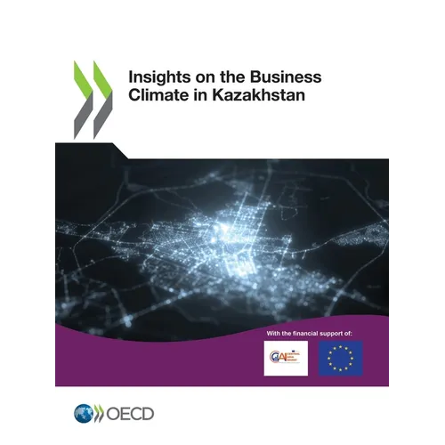 Insights on the Business Climate in Kazakhstan