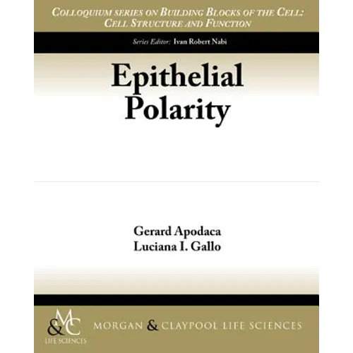 Epithelial Polarity