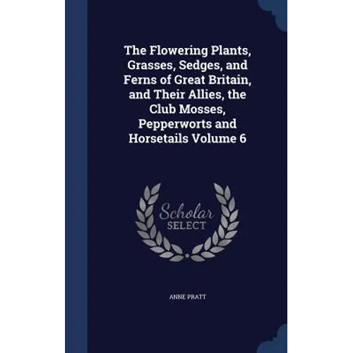 The Flowering Plants, Grasses, Sedges, and Ferns of Great Britain, and Their Allies, the Club Mosses, Pepperworts and Horsetails Volume 6