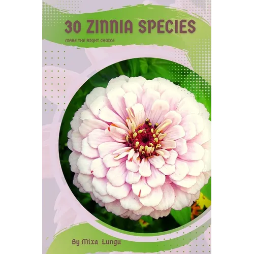 30 Zinnia species: Make the right choice