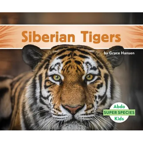 Siberian Tigers