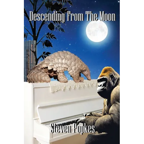Descending From The Moon