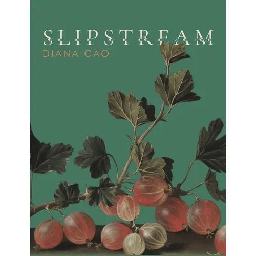 Slipstream