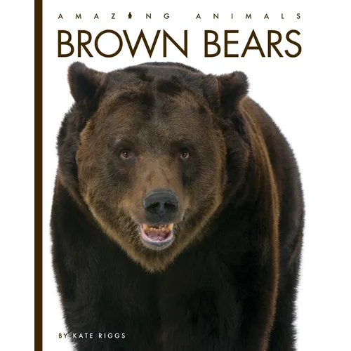 Brown Bears
