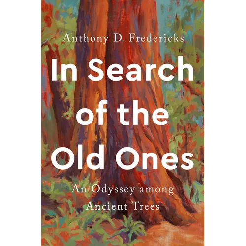 In Search of the Old Ones: An Odyssey Among Ancient Trees