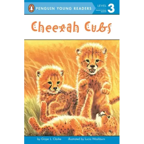 Cheetah Cubs