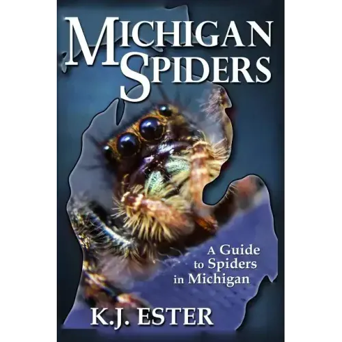 Michigan Spiders