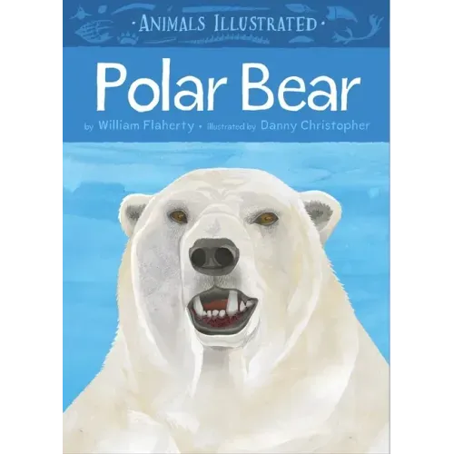 Animals Illustrated: Polar Bear