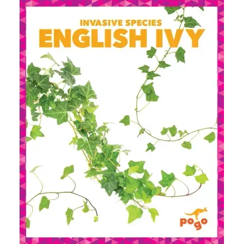 English Ivy