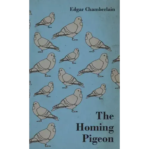 The Homing Pigeon