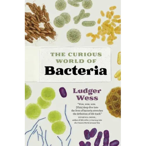 The Curious World of Bacteria