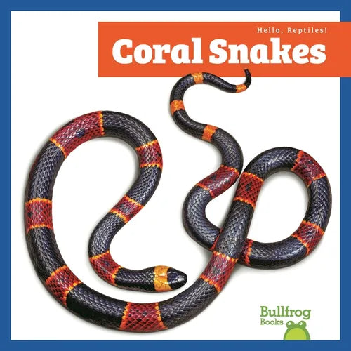 Coral Snakes