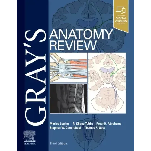 Gray's Anatomy Review