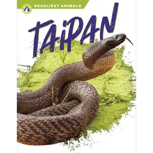 Taipan