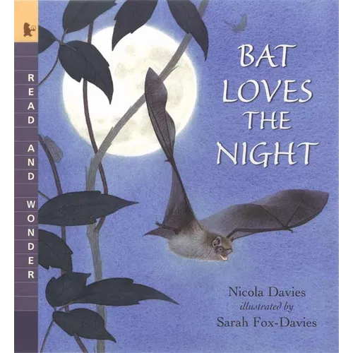 Bat Loves the Night
