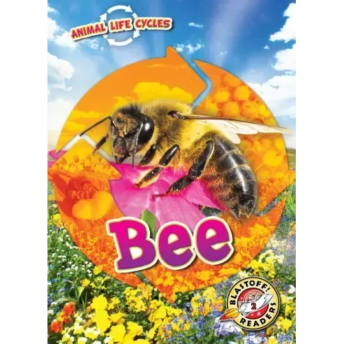 Animal Life Cycles: Bee