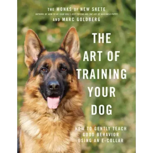 The Art of Training Your Dog: How to Gently Teach Good Behavior Using an E-Collar