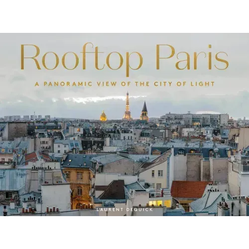 Rooftop Paris: A Panoramic View of the City of Light