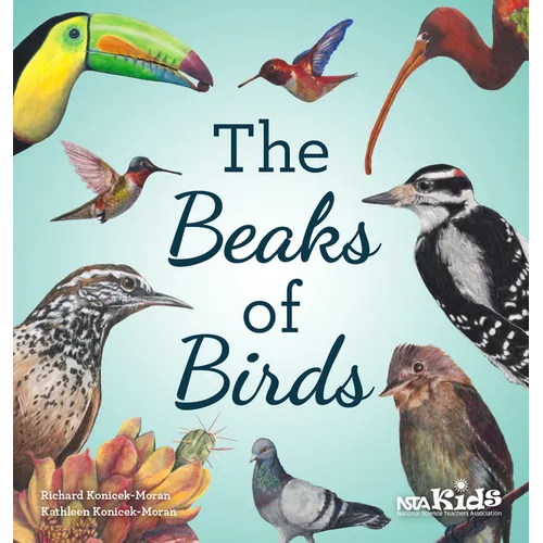 The Beaks of Birds