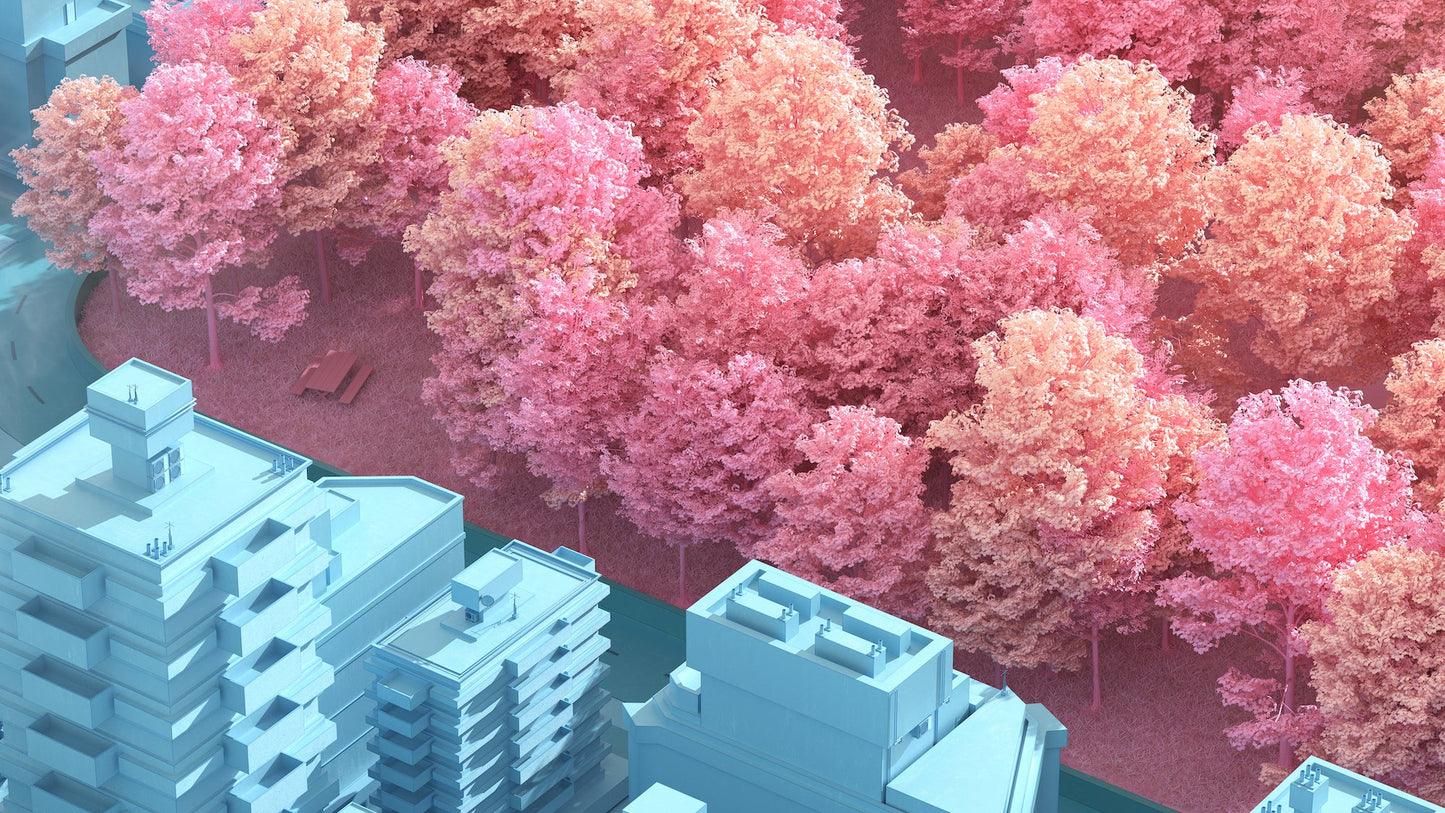 Dreamscapes & Artificial Architecture Book
