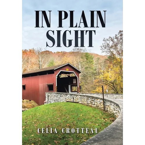 In Plain Sight