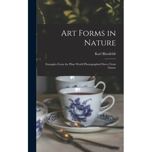 Art Forms in Nature: Examples From the Plant World Photographed Direct From Nature