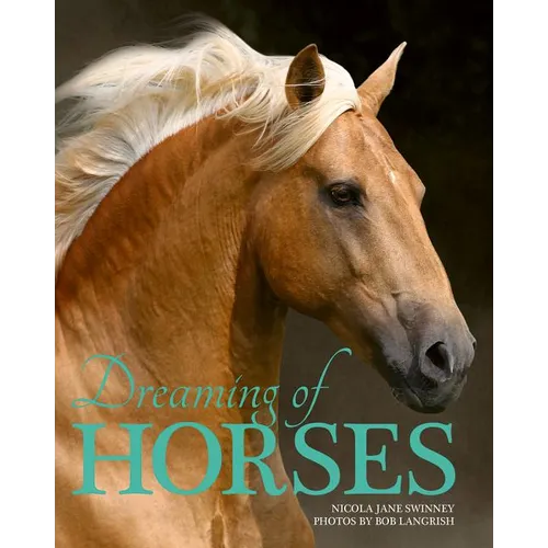 Dreaming of Horses