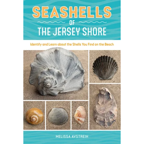 Seashells of the Jersey Shore: Identify and Learn about the Shells You Find on the Beach
