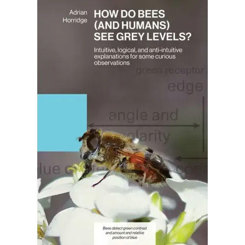 How Do Bees (and Humans) See Grey Levels?: Intuitive, logical, and anti-intuitive explanations for some curious observations