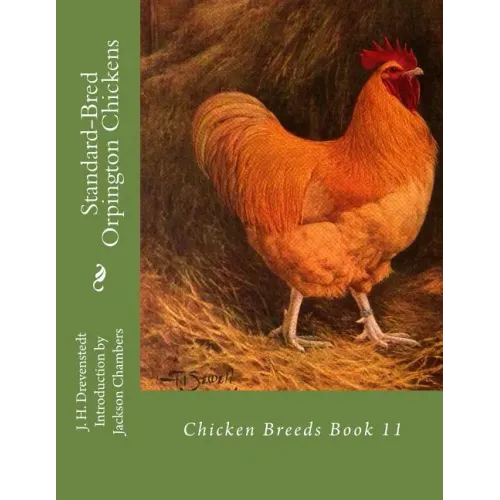Standard-Bred Orpington Chickens: Chicken Breeds Book 11