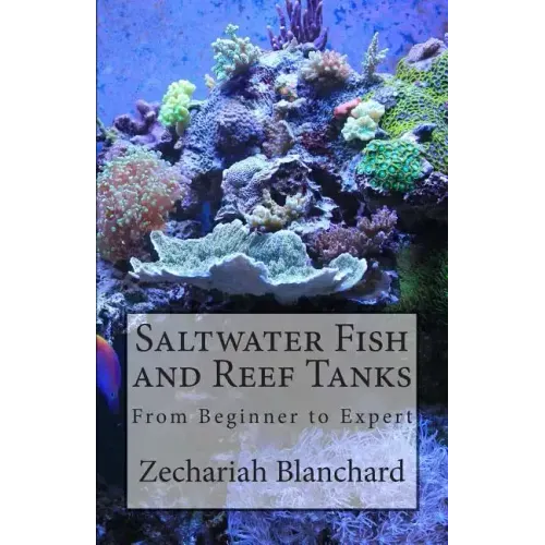 Saltwater Fish and Reef Tanks: From Beginner to Expert