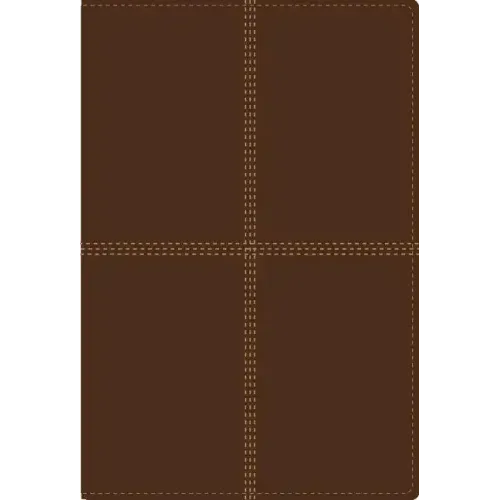 Bilingual Bible-PR-NIV/Rvr 1960