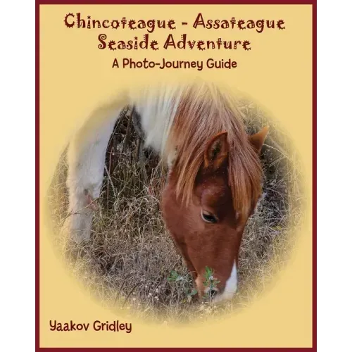 Chincoteague-Assateague Seaside Adventure: A Photo-Journey Guide