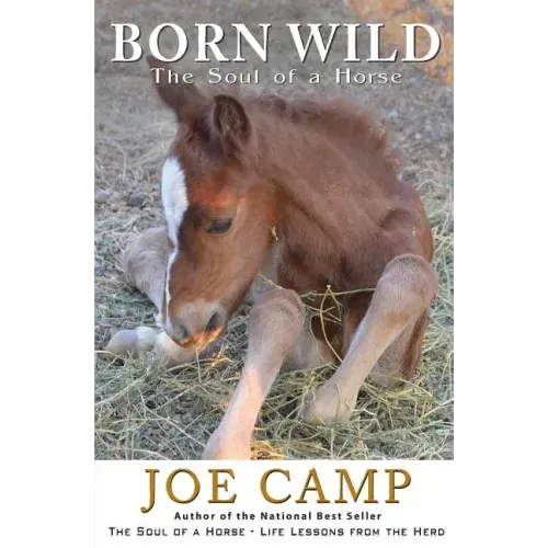 Born Wild - The Soul of a Horse
