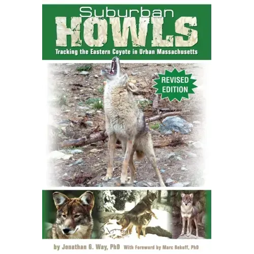 Suburban Howls: Tracking the Eastern Coyote in Urban Massachusetts