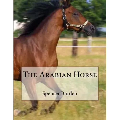 The Arabian Horse
