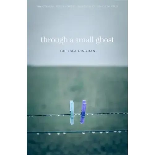 Through a Small Ghost: Poems
