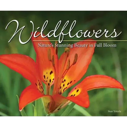 Wildflowers: Nature's Stunning Beauty on Display