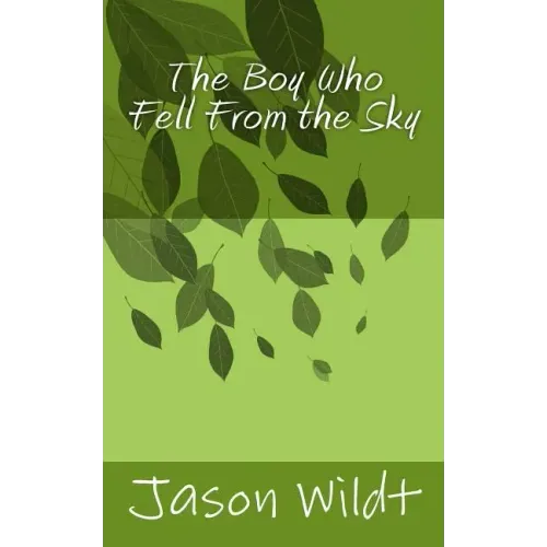 The Boy Who Fell From the Sky