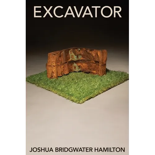 Excavator