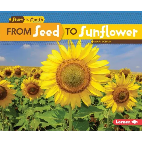 From Seed to Sunflower