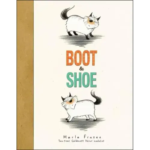 Boot & Shoe