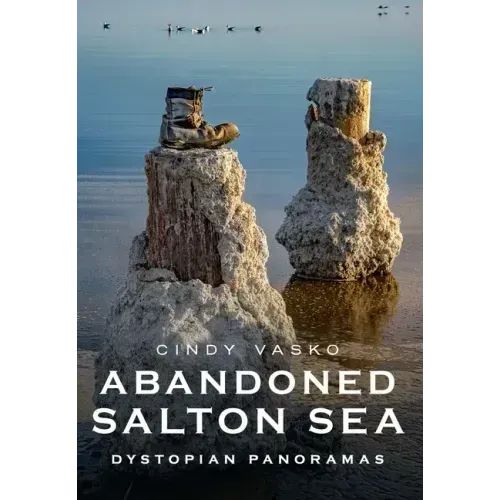Abandoned Salton Sea: Dystopian Panoramas