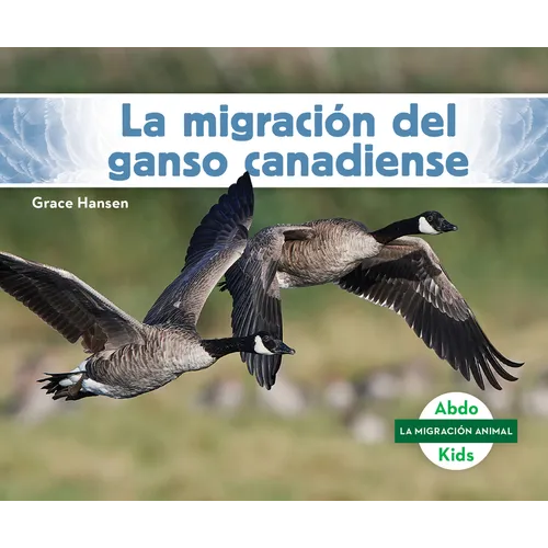 La Migración del Ganso Canadiense (Canada Goose Migration)