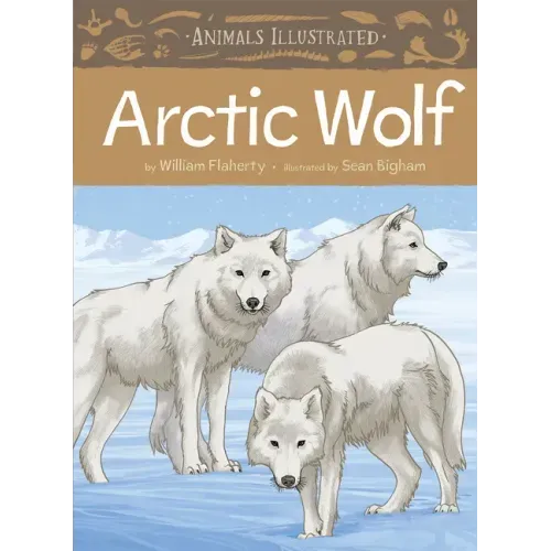 Animals Illustrated: Arctic Wolf