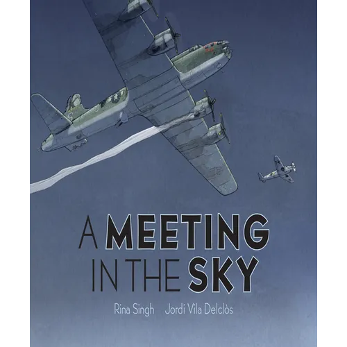A Meeting in the Sky
