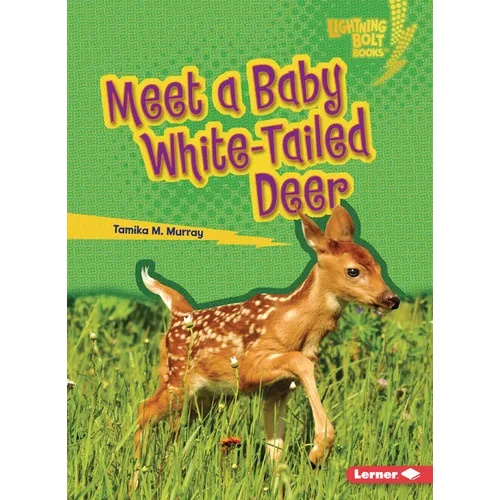 Meet a Baby White-Tailed Deer